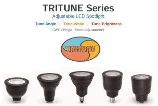 Beautiful Light Technology Corp.